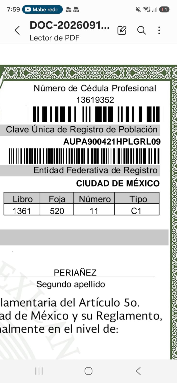 Documento profesional proporcionado